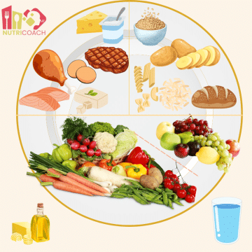 L’Assiette Santé : la clé d’une alimentation équilibrée